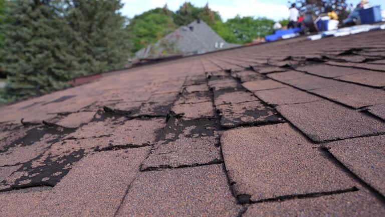 Best Metal Roofing Installation  in Delavan, WI